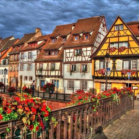 Sainte-Croix-en-Plaine Appartement Climatise 70 M2, Proximite De Colmar מראה חיצוני תמונה
