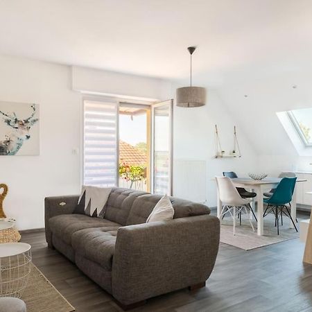 Sainte-Croix-en-Plaine Appartement Climatise 70 M2, Proximite De Colmar מראה חיצוני תמונה