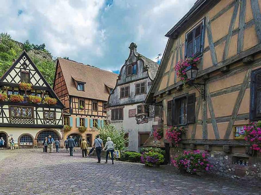Sainte-Croix-en-Plaine Appartement Climatise 70 M2, Proximite De Colmar מראה חיצוני תמונה