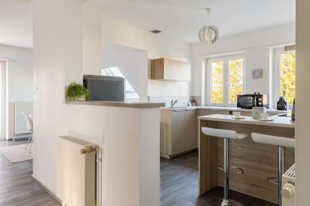Sainte-Croix-en-Plaine Appartement Climatise 70 M2, Proximite De Colmar מראה חיצוני תמונה