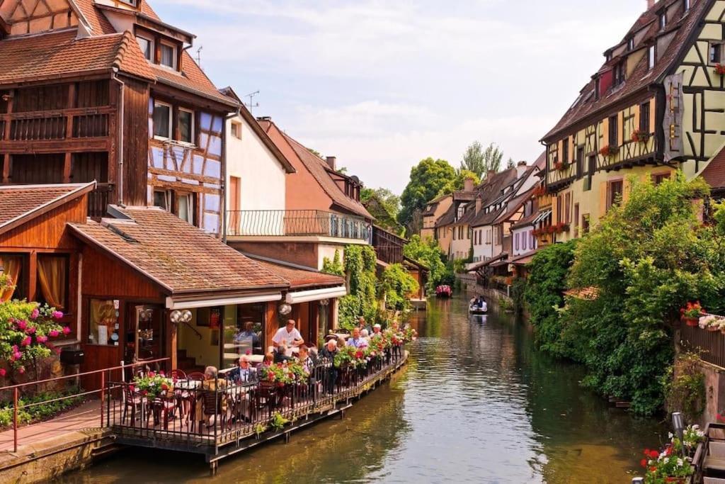 Sainte-Croix-en-Plaine Appartement Climatise 70 M2, Proximite De Colmar מראה חיצוני תמונה