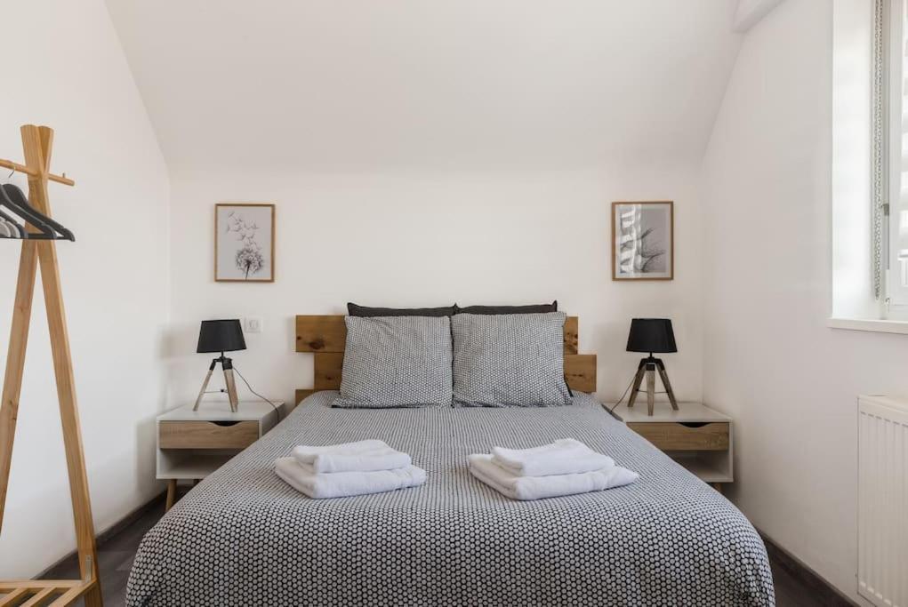 Sainte-Croix-en-Plaine Appartement Climatise 70 M2, Proximite De Colmar מראה חיצוני תמונה