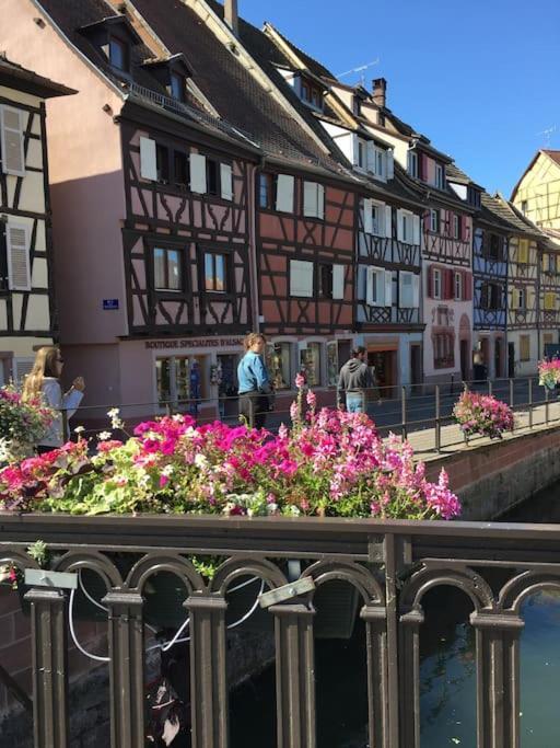 Sainte-Croix-en-Plaine Appartement Climatise 70 M2, Proximite De Colmar מראה חיצוני תמונה