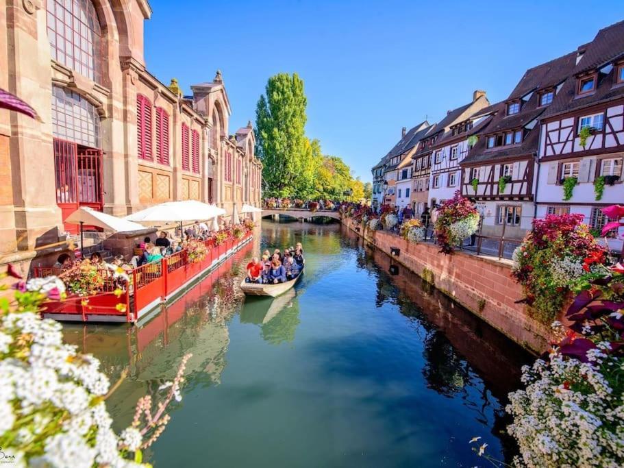 Sainte-Croix-en-Plaine Appartement Climatise 70 M2, Proximite De Colmar מראה חיצוני תמונה