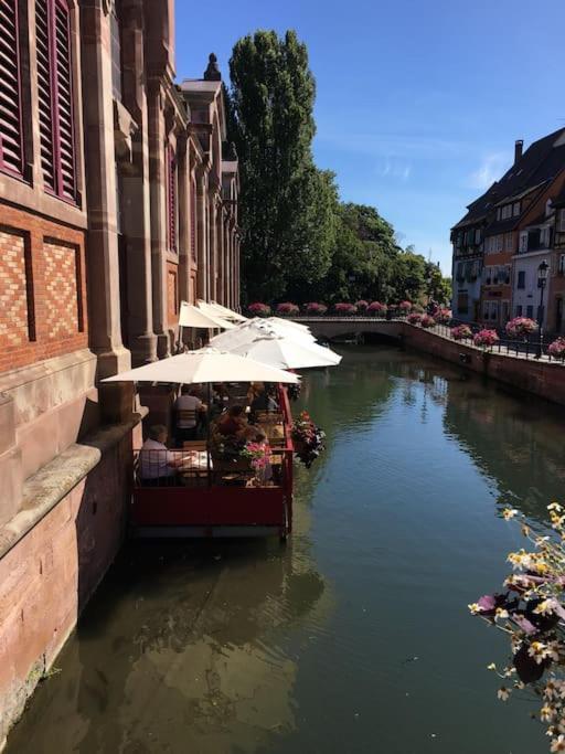Sainte-Croix-en-Plaine Appartement Climatise 70 M2, Proximite De Colmar מראה חיצוני תמונה